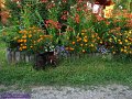 2009-08-29 17-39-35